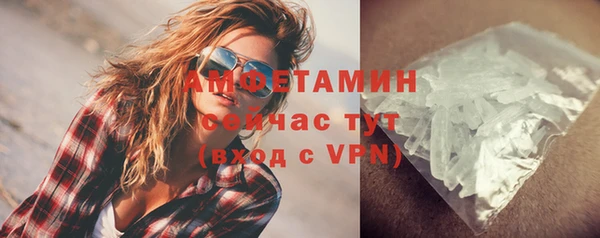винт Абаза
