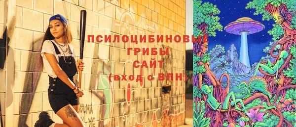 винт Абаза