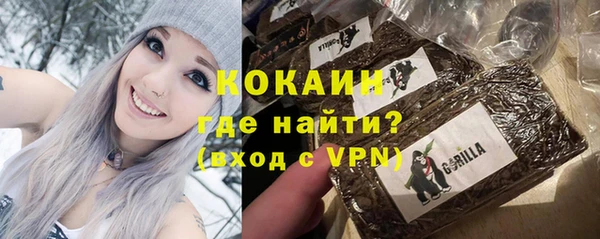 винт Абаза