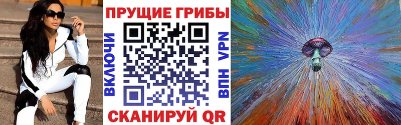 Псилоцибиновые грибы Magic Shrooms  где можно купить   Горячеводский 
